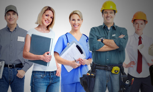 نیروی متخصص فدرال